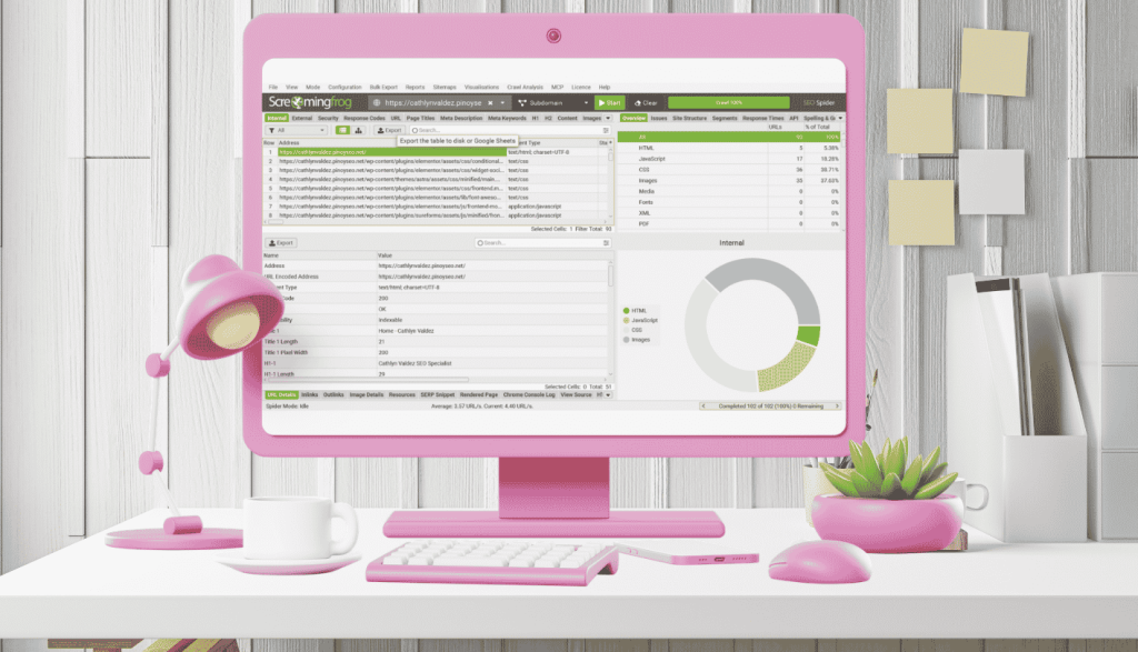 Philippine SEO Specialist - Cathlyn Valdez